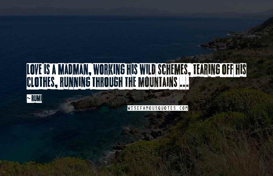 Rumi Quotes: Love is a madman, working his wild schemes, tearing off his clothes, running through the mountains ...