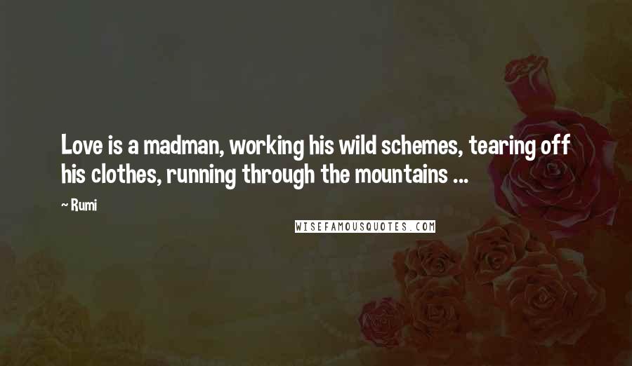 Rumi Quotes: Love is a madman, working his wild schemes, tearing off his clothes, running through the mountains ...