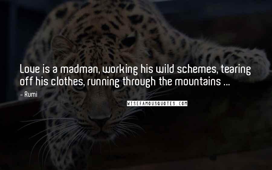 Rumi Quotes: Love is a madman, working his wild schemes, tearing off his clothes, running through the mountains ...