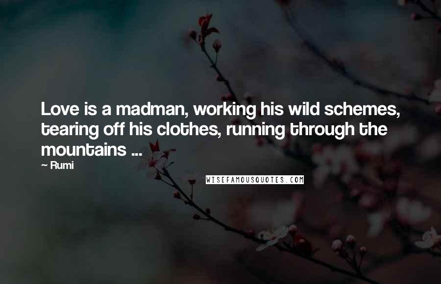 Rumi Quotes: Love is a madman, working his wild schemes, tearing off his clothes, running through the mountains ...