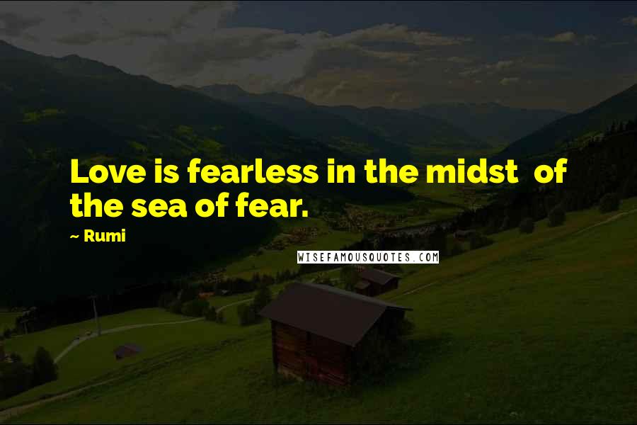 Rumi Quotes: Love is fearless in the midst  of the sea of fear.