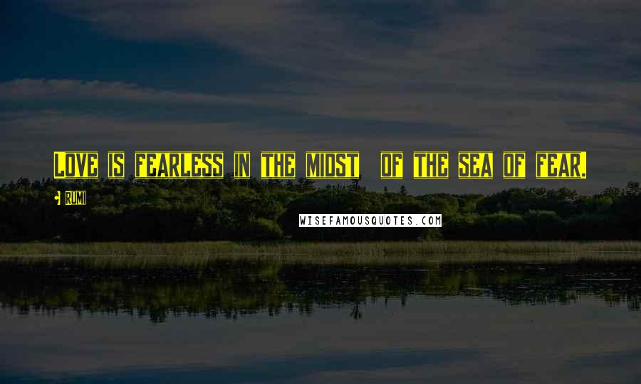 Rumi Quotes: Love is fearless in the midst  of the sea of fear.