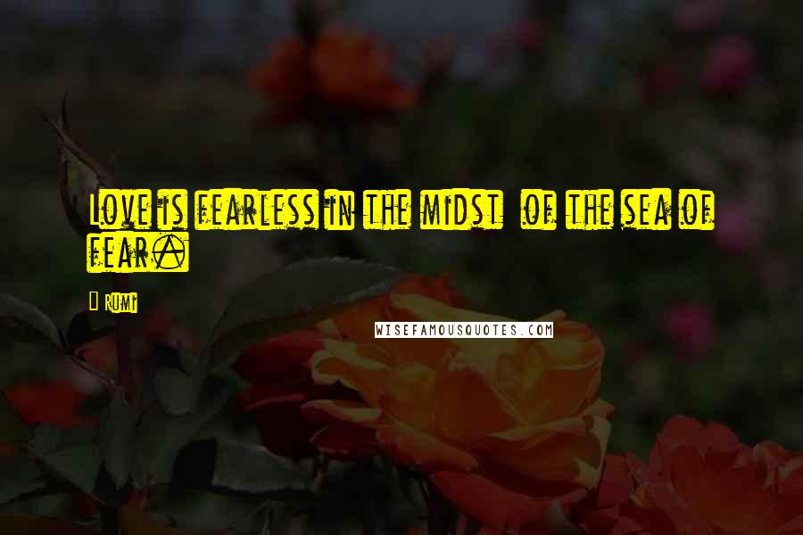 Rumi Quotes: Love is fearless in the midst  of the sea of fear.