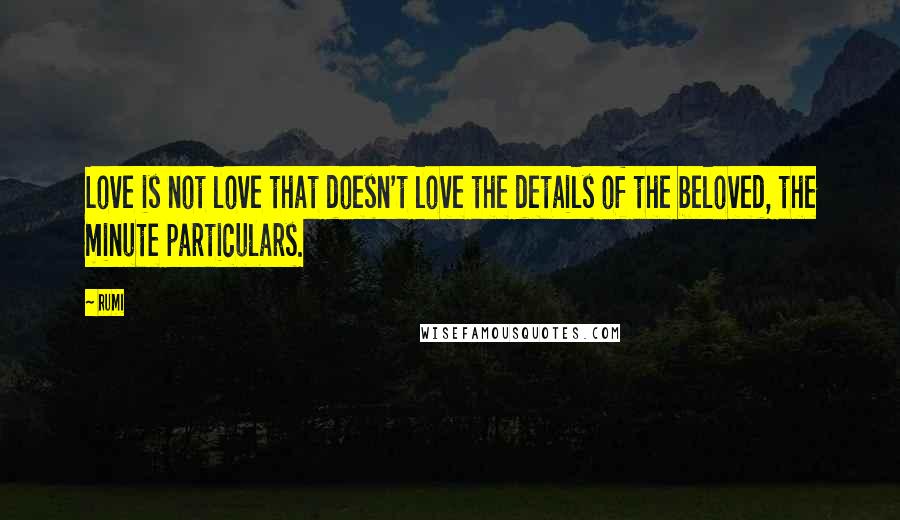 Rumi Quotes: Love is not love that doesn't love the details of the beloved, the minute particulars.