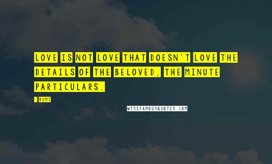 Rumi Quotes: Love is not love that doesn't love the details of the beloved, the minute particulars.