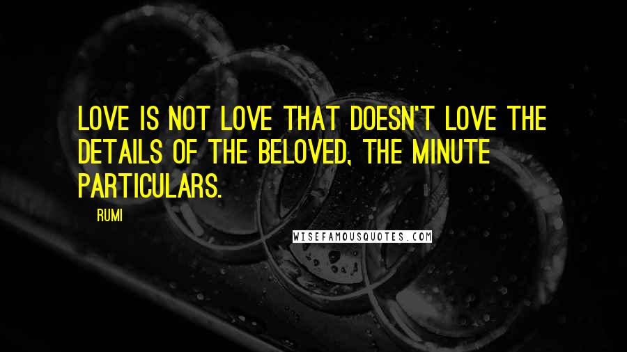 Rumi Quotes: Love is not love that doesn't love the details of the beloved, the minute particulars.