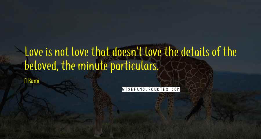 Rumi Quotes: Love is not love that doesn't love the details of the beloved, the minute particulars.