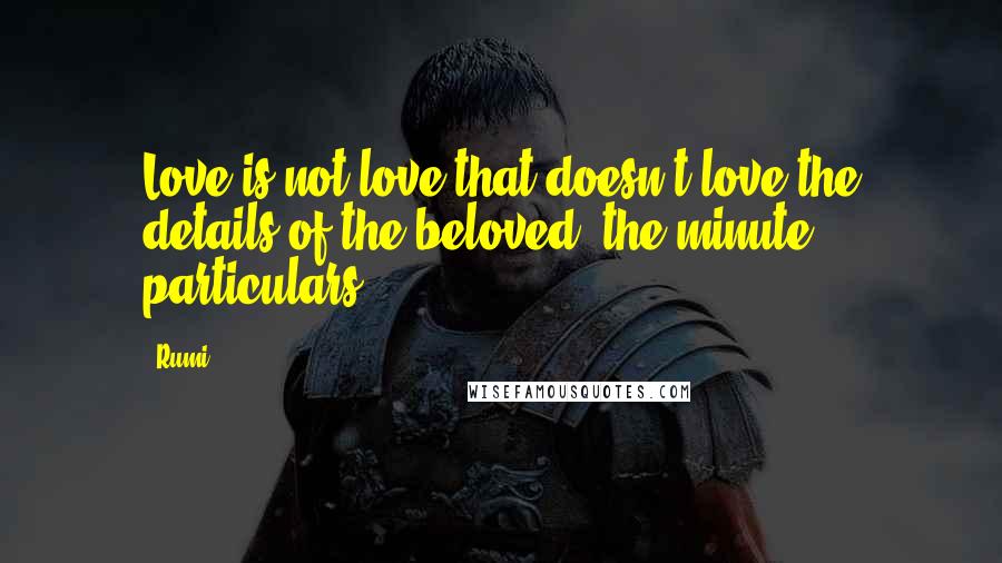 Rumi Quotes: Love is not love that doesn't love the details of the beloved, the minute particulars.