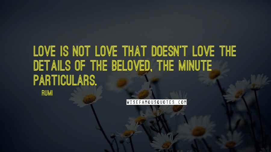 Rumi Quotes: Love is not love that doesn't love the details of the beloved, the minute particulars.