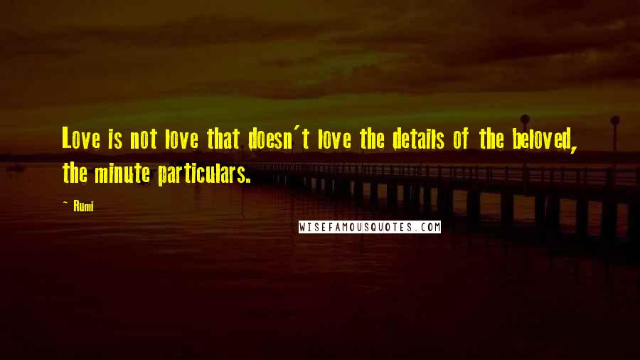 Rumi Quotes: Love is not love that doesn't love the details of the beloved, the minute particulars.