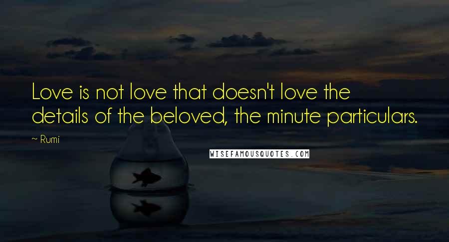 Rumi Quotes: Love is not love that doesn't love the details of the beloved, the minute particulars.