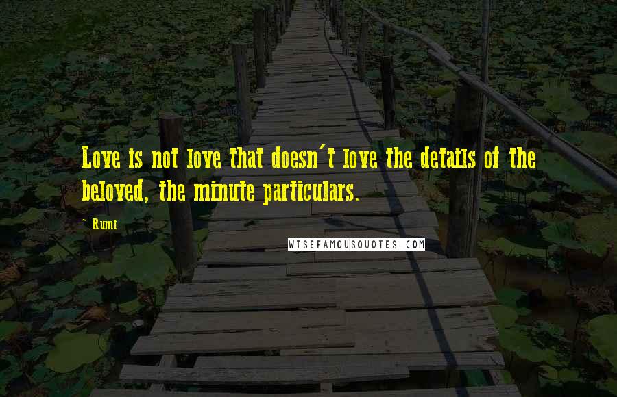 Rumi Quotes: Love is not love that doesn't love the details of the beloved, the minute particulars.