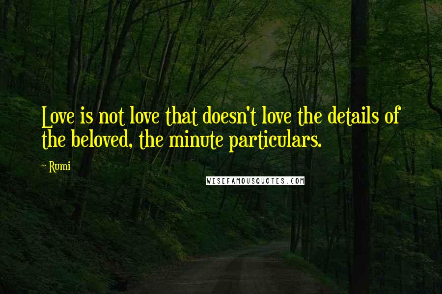 Rumi Quotes: Love is not love that doesn't love the details of the beloved, the minute particulars.