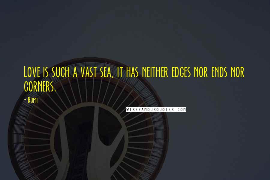 Rumi Quotes: Love is such a vast sea, it has neither edges nor ends nor corners.