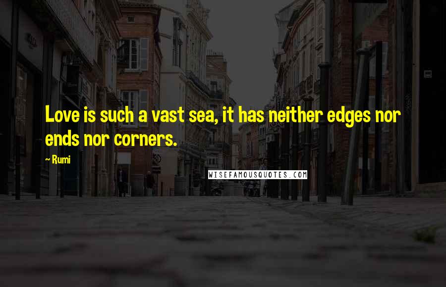 Rumi Quotes: Love is such a vast sea, it has neither edges nor ends nor corners.