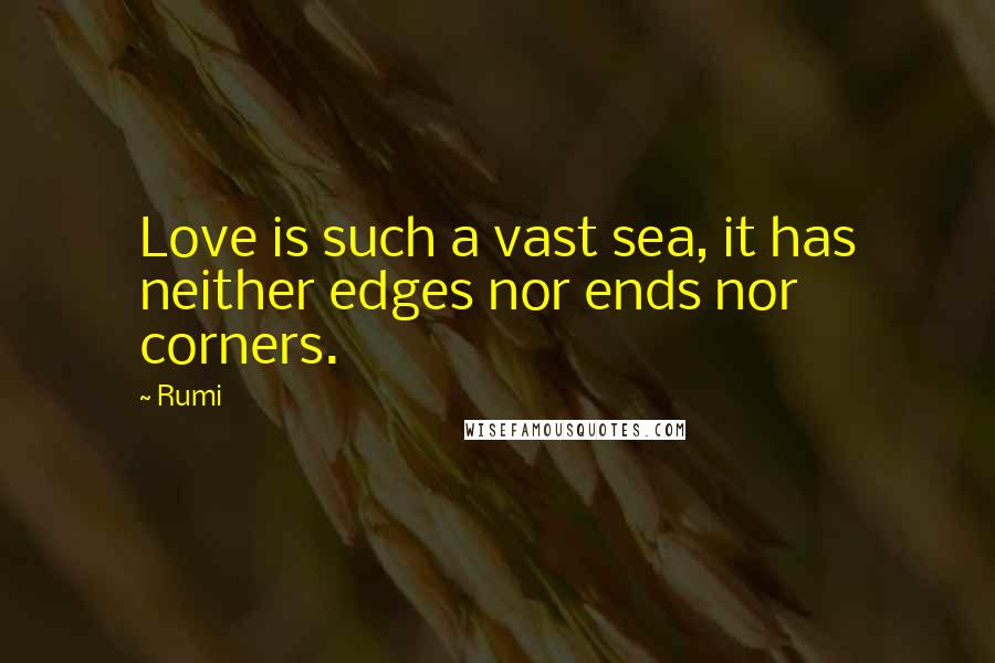 Rumi Quotes: Love is such a vast sea, it has neither edges nor ends nor corners.