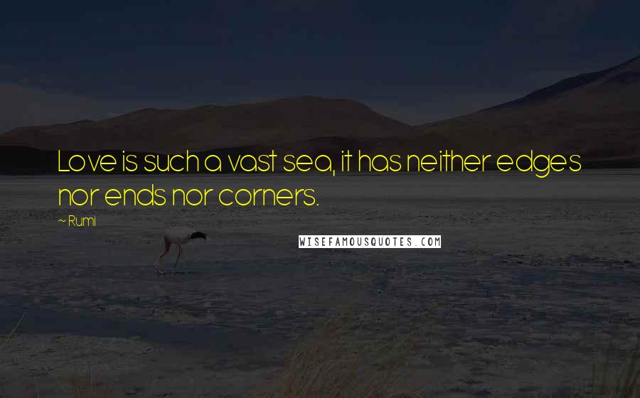 Rumi Quotes: Love is such a vast sea, it has neither edges nor ends nor corners.