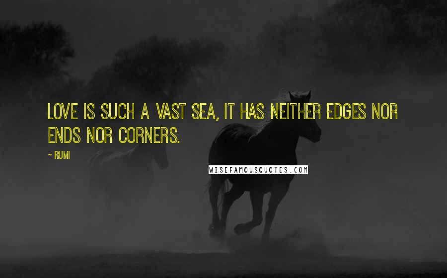 Rumi Quotes: Love is such a vast sea, it has neither edges nor ends nor corners.