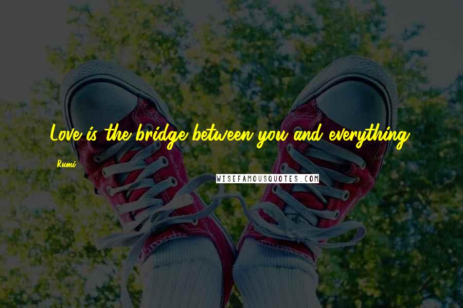 Rumi Quotes: Love is the bridge between you and everything.