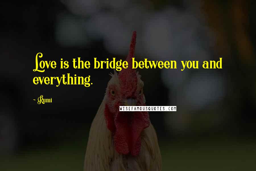 Rumi Quotes: Love is the bridge between you and everything.