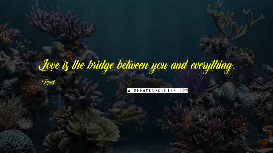 Rumi Quotes: Love is the bridge between you and everything.