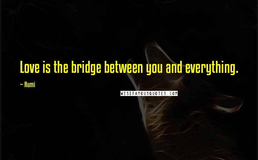 Rumi Quotes: Love is the bridge between you and everything.