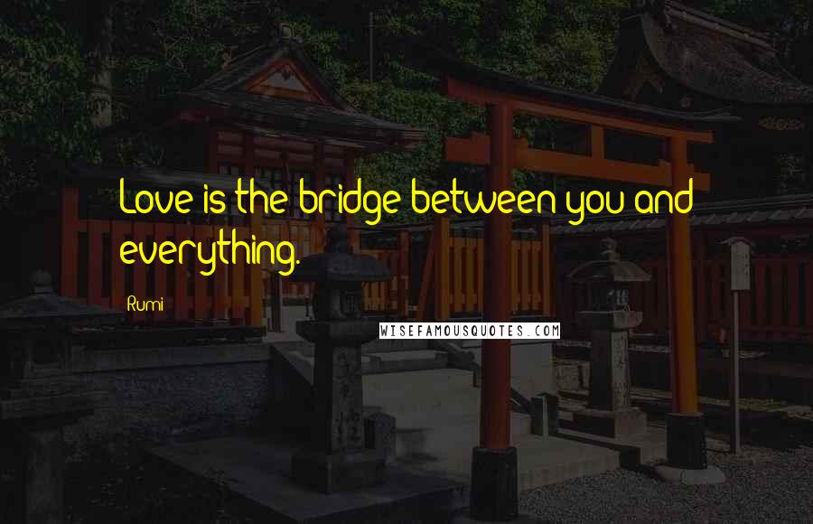 Rumi Quotes: Love is the bridge between you and everything.