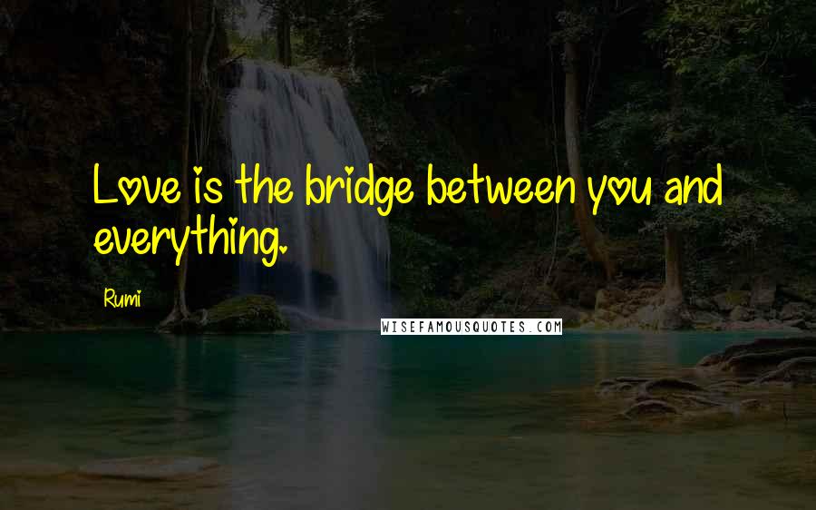 Rumi Quotes: Love is the bridge between you and everything.