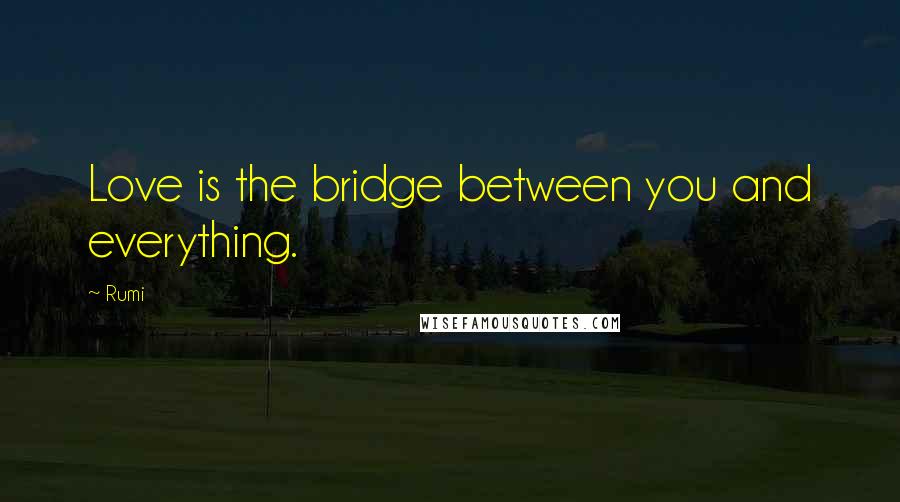 Rumi Quotes: Love is the bridge between you and everything.