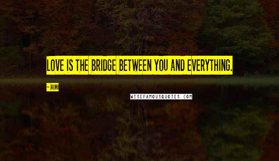 Rumi Quotes: Love is the bridge between you and everything.