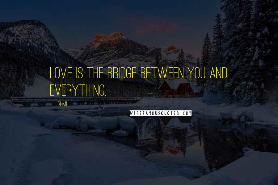 Rumi Quotes: Love is the bridge between you and everything.