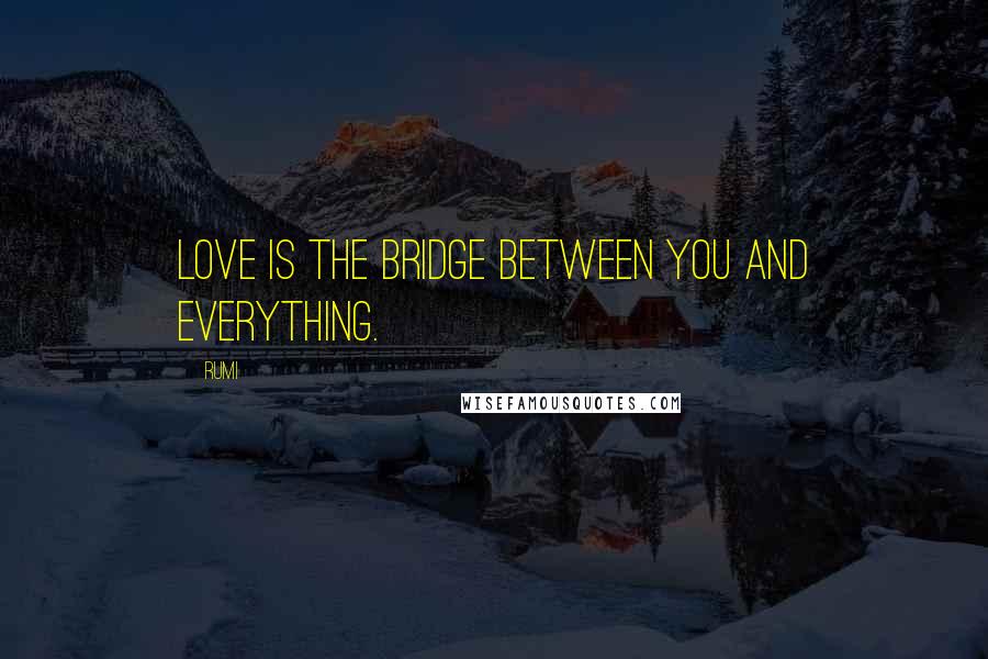 Rumi Quotes: Love is the bridge between you and everything.