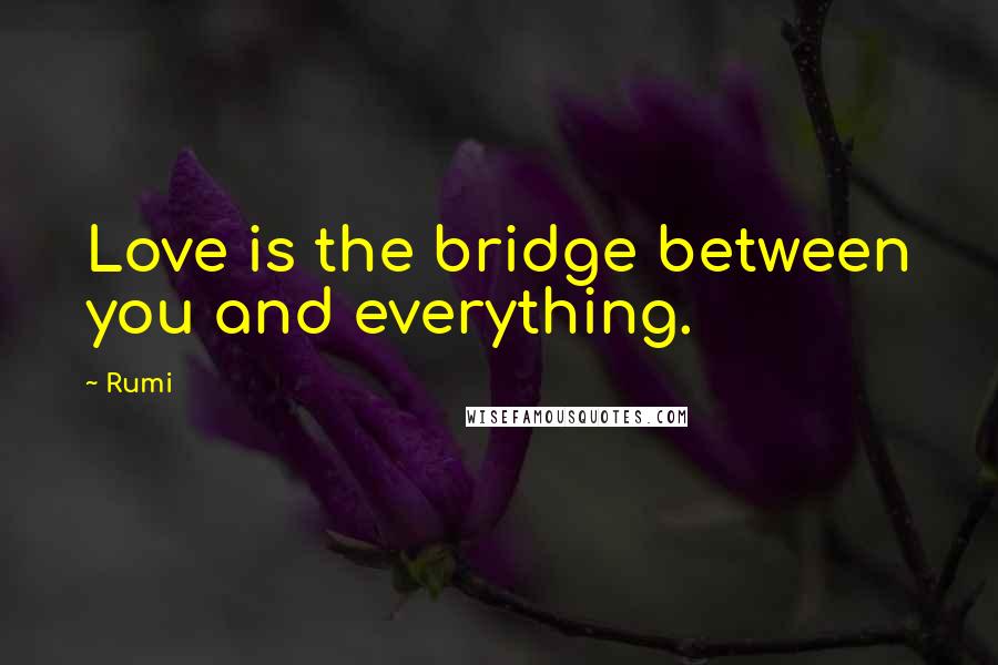Rumi Quotes: Love is the bridge between you and everything.
