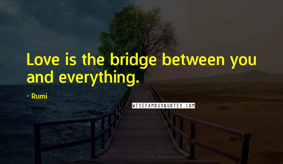 Rumi Quotes: Love is the bridge between you and everything.