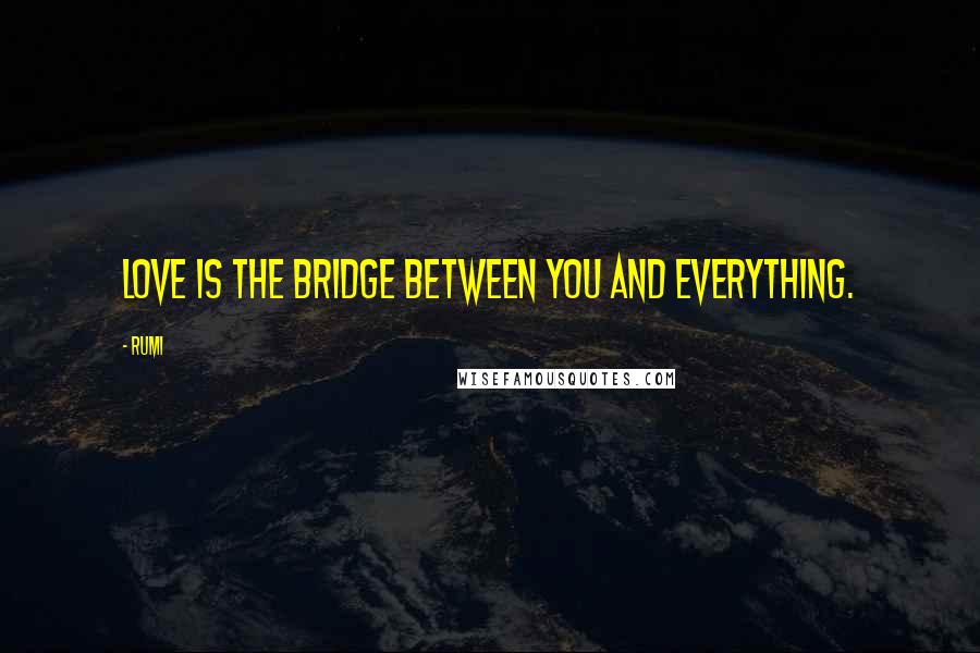 Rumi Quotes: Love is the bridge between you and everything.