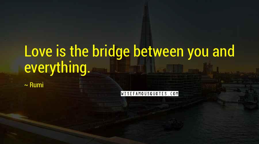 Rumi Quotes: Love is the bridge between you and everything.