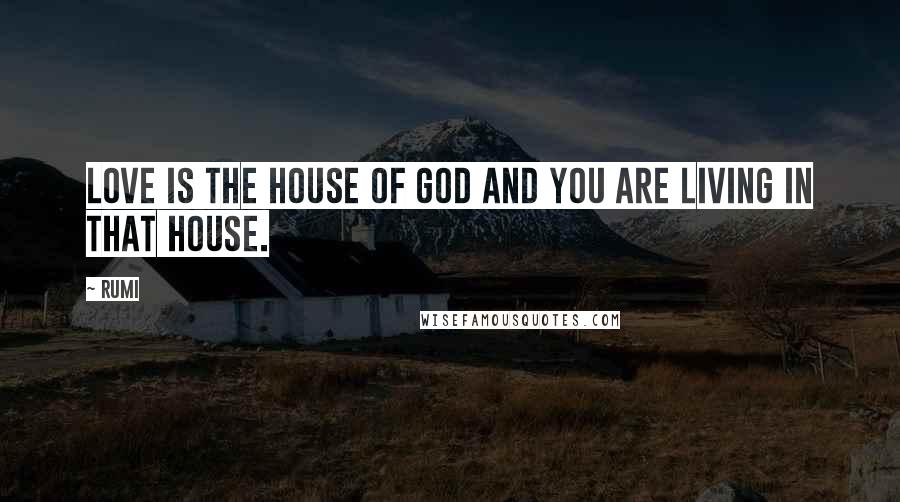 Rumi Quotes: Love is the house of God and you are living in that house.