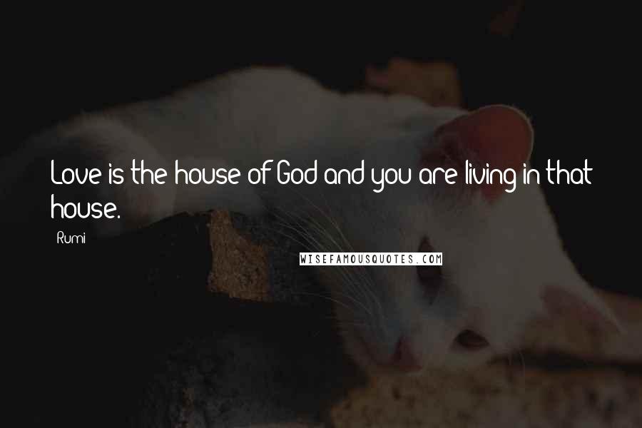 Rumi Quotes: Love is the house of God and you are living in that house.