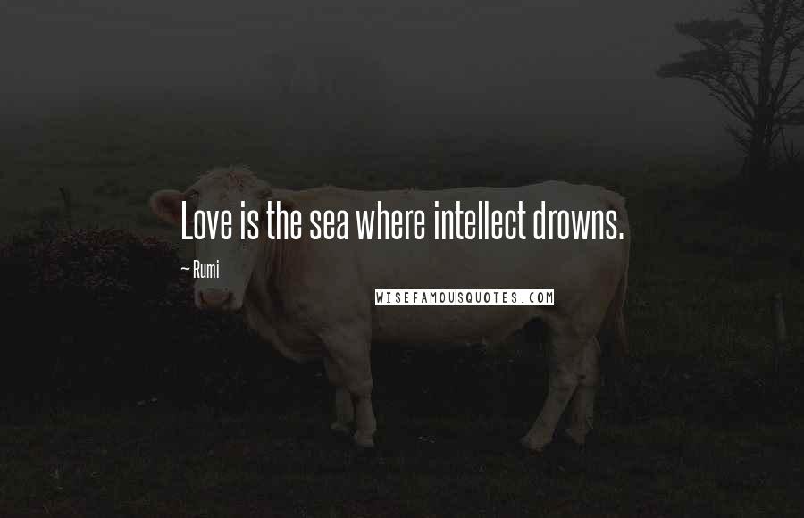 Rumi Quotes: Love is the sea where intellect drowns.