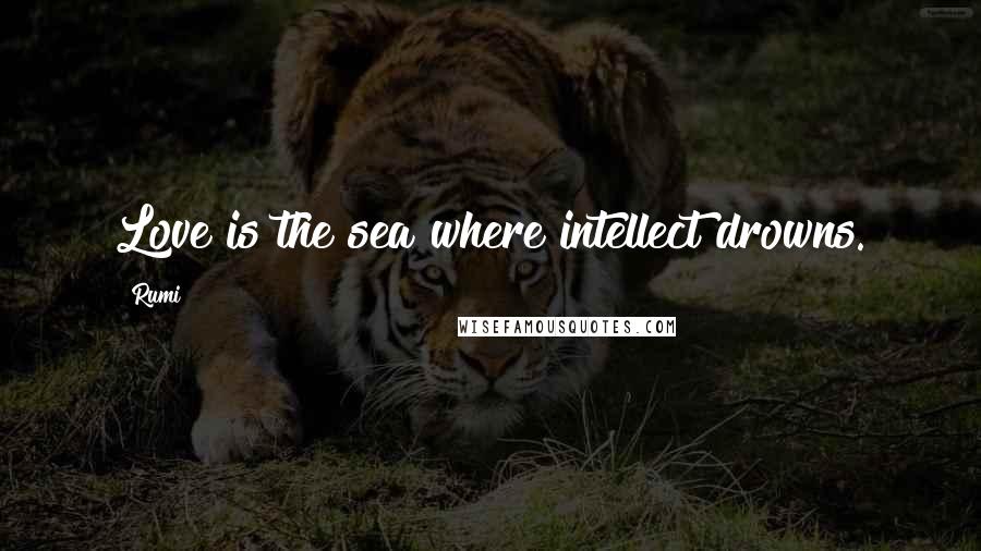 Rumi Quotes: Love is the sea where intellect drowns.