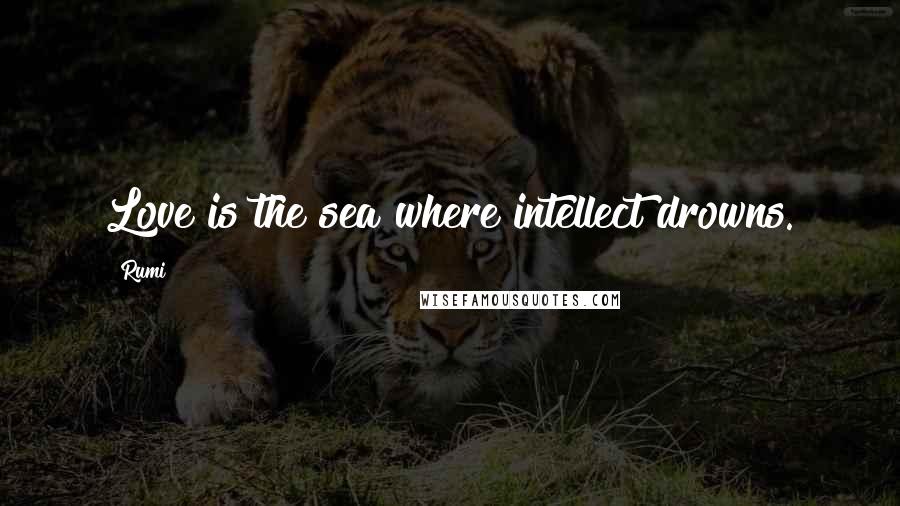 Rumi Quotes: Love is the sea where intellect drowns.