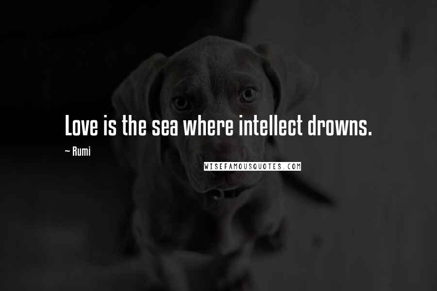 Rumi Quotes: Love is the sea where intellect drowns.