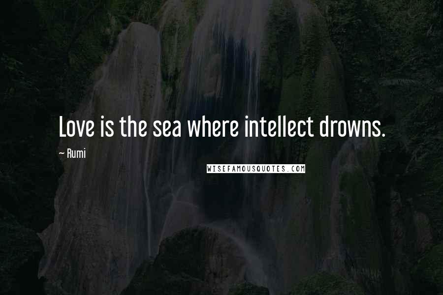 Rumi Quotes: Love is the sea where intellect drowns.