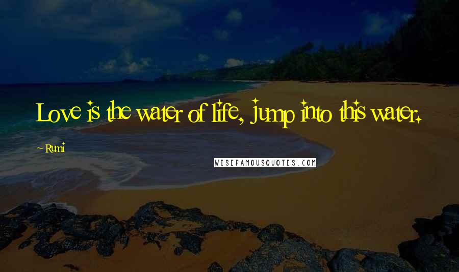 Rumi Quotes: Love is the water of life, jump into this water.