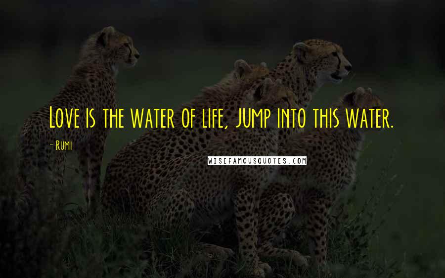 Rumi Quotes: Love is the water of life, jump into this water.