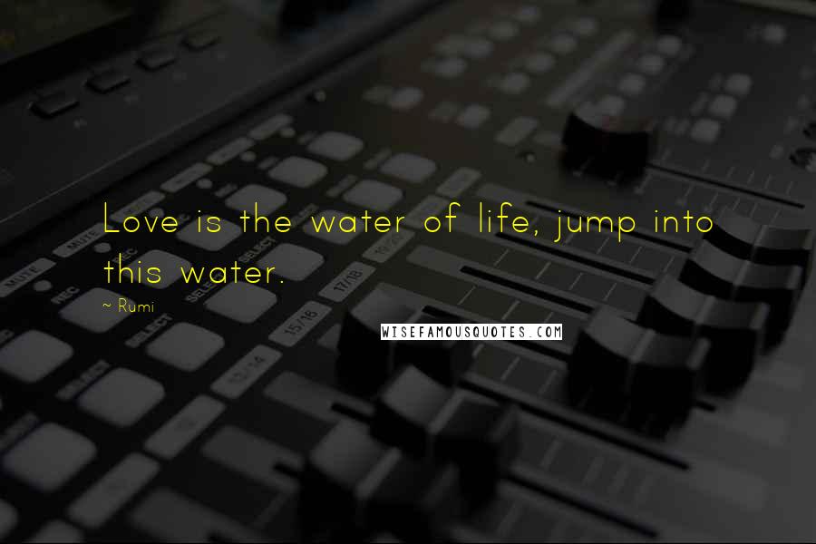 Rumi Quotes: Love is the water of life, jump into this water.