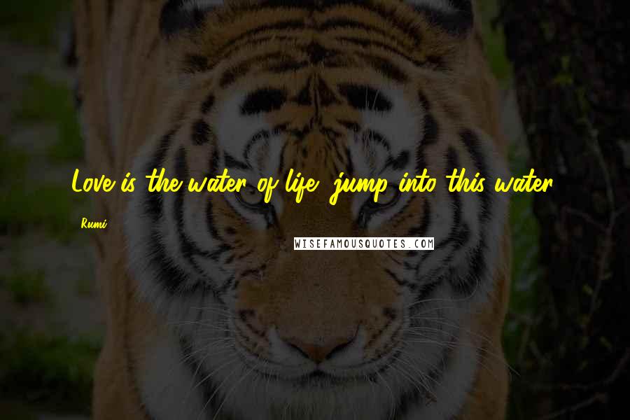 Rumi Quotes: Love is the water of life, jump into this water.