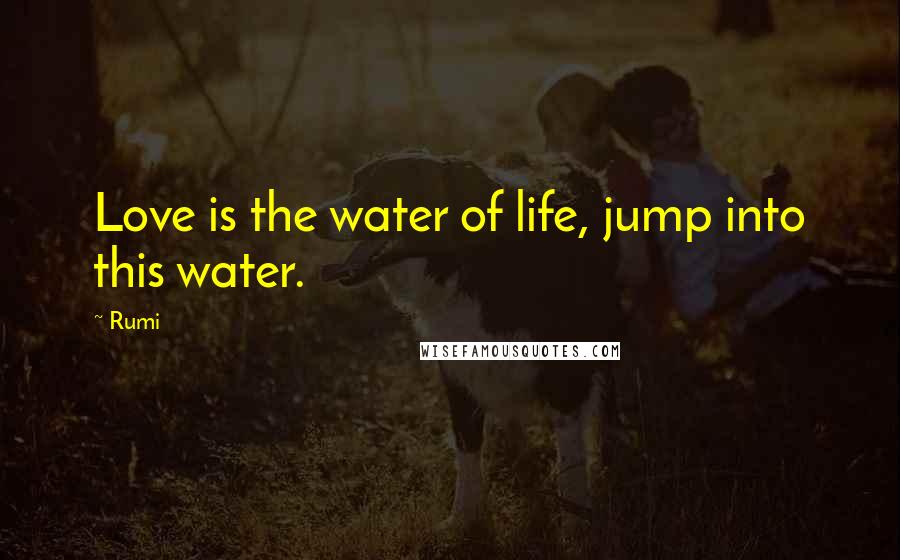 Rumi Quotes: Love is the water of life, jump into this water.