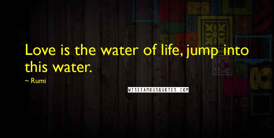 Rumi Quotes: Love is the water of life, jump into this water.