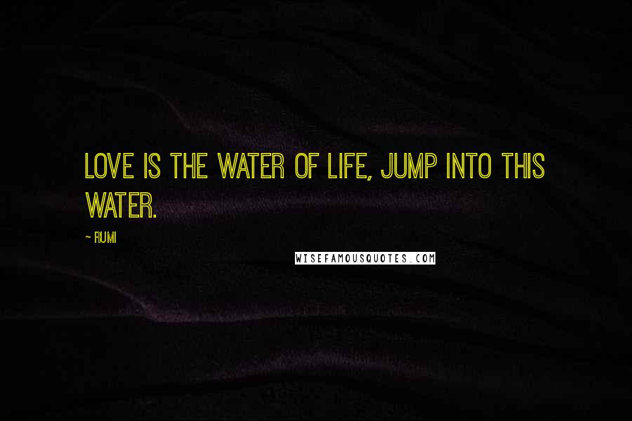 Rumi Quotes: Love is the water of life, jump into this water.